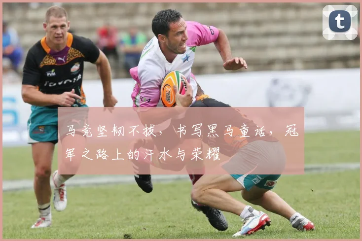 马竞坚韧不拔,书写黑马童话,冠军之路上的汗水与荣耀