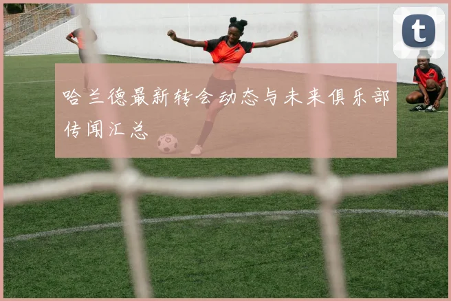 哈兰德最新转会动态与未来俱乐部传闻汇总