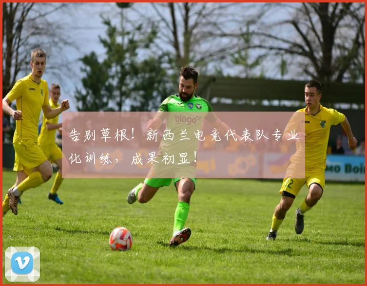 告别草根!新西兰电竞代表队专业化训练,成果初显!
