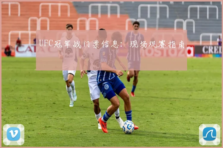 UFC冠军战门票信息：现场观赛指南