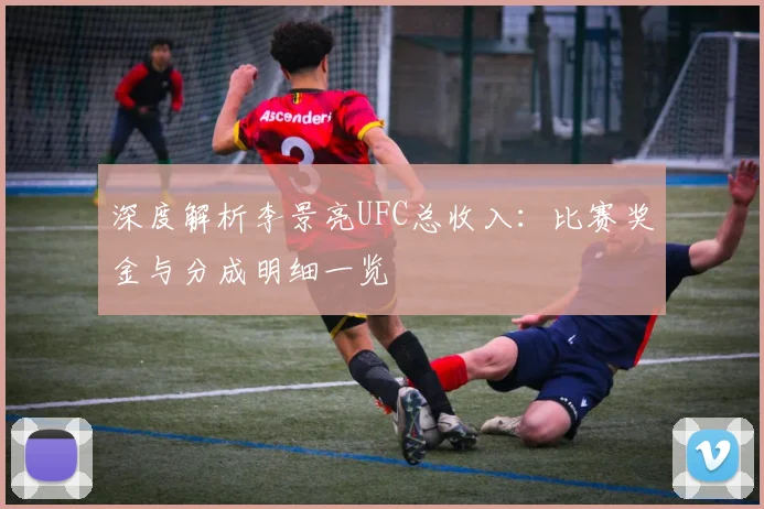 深度解析李景亮UFC总收入:比赛奖金与分成明细一览