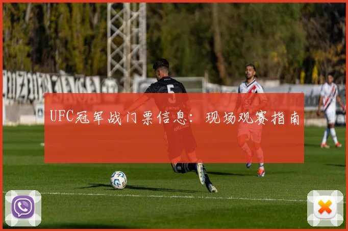 UFC冠军战门票信息：现场观赛指南