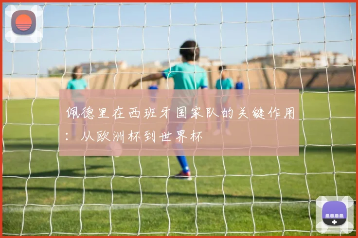 佩德里在西班牙国家队的关键作用:从欧洲杯到世界杯