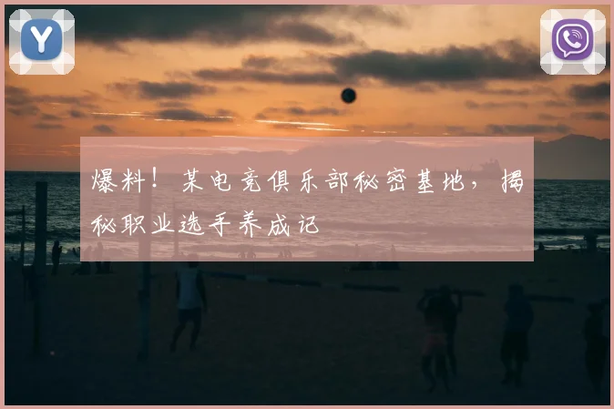 爆料!某电竞俱乐部秘密基地,揭秘职业选手养成记