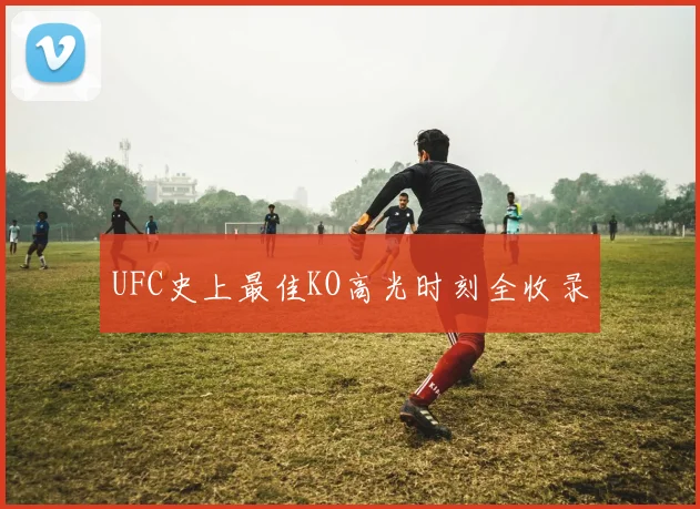 UFC史上最佳KO高光时刻全收录
