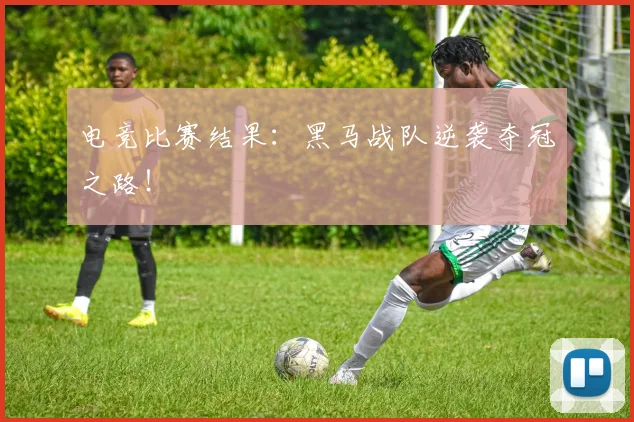电竞比赛结果:黑马战队逆袭夺冠之路!