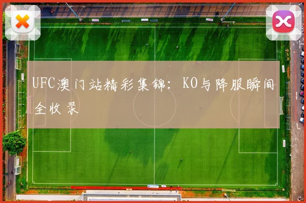 UFC澳门站精彩集锦：KO与降服瞬间全收录