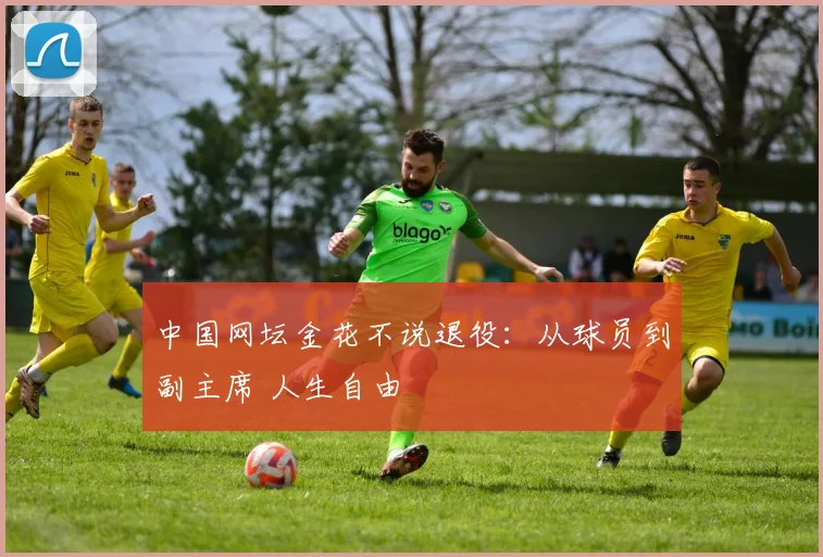 中国网坛金花不说退役：从球员到副主席 人生自由