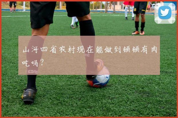 山河四省农村现在能做到顿顿有肉吃吗?