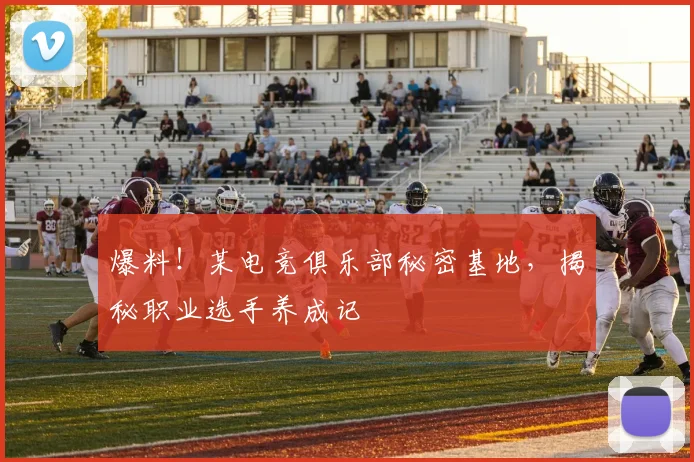 爆料!某电竞俱乐部秘密基地,揭秘职业选手养成记